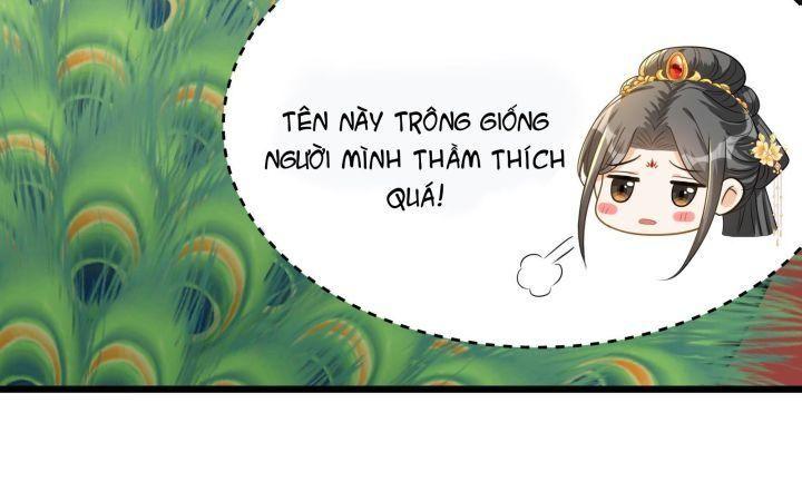 thái tử phi là người thế thân chapter 1 20