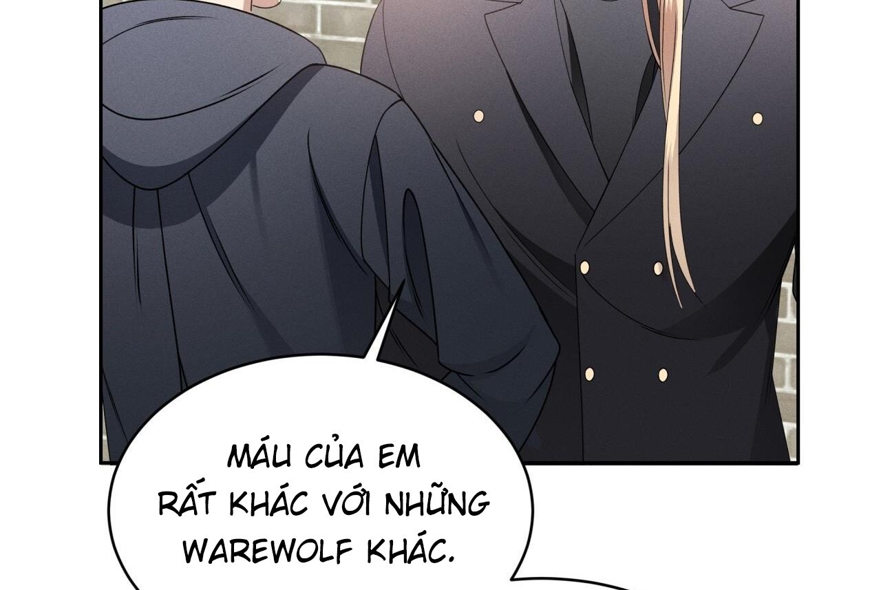 luân đôn trong màn đêm chapter 34 100