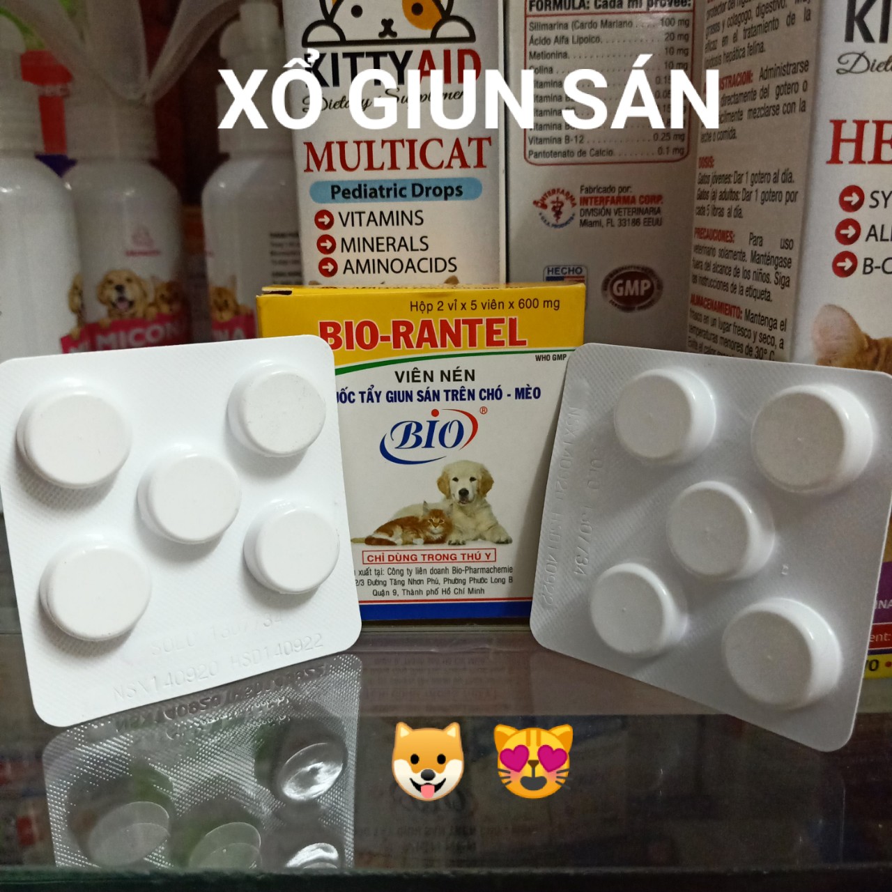 Bio Rantel Xổ Giun Chó Mèo Nhỏ