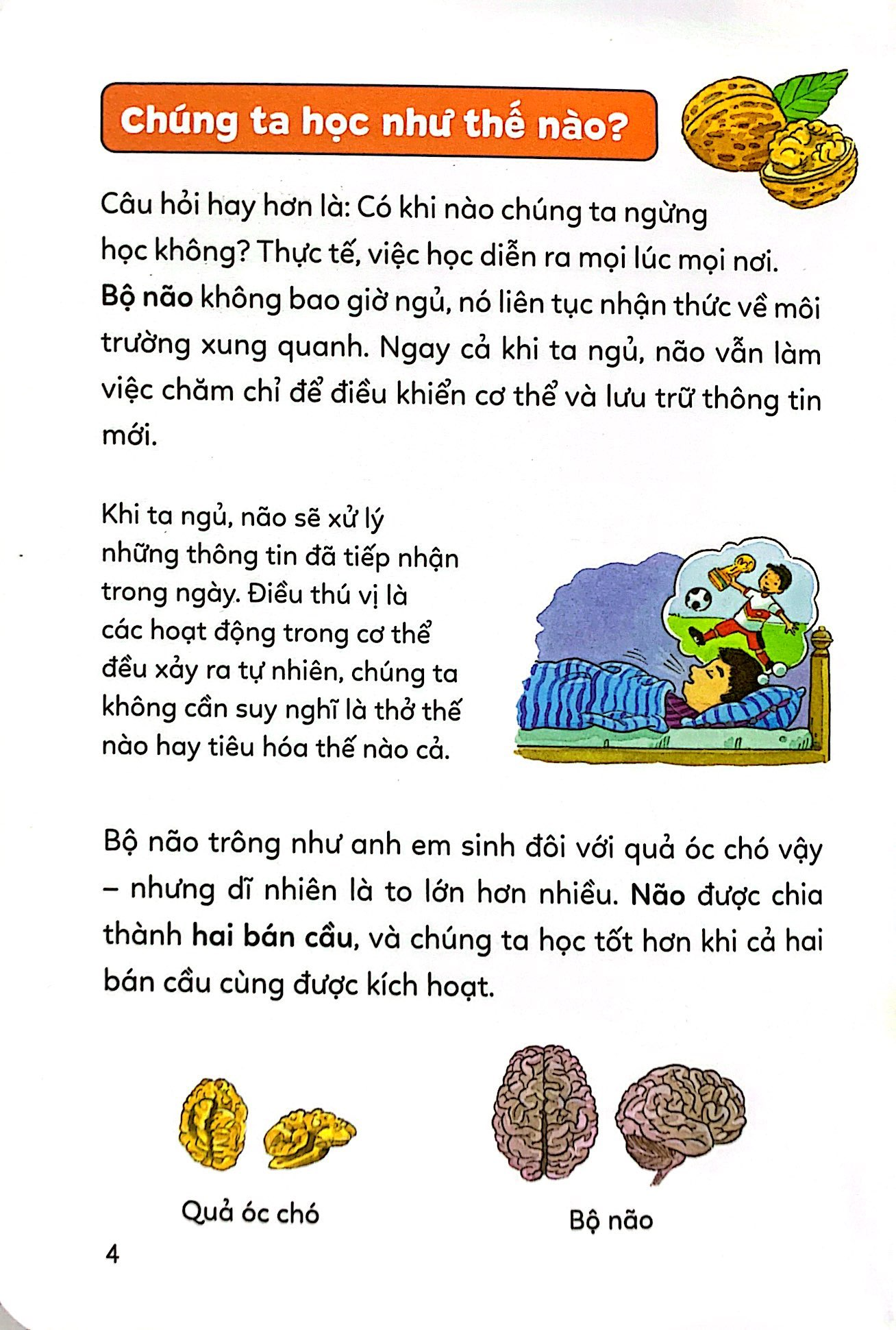 Pixi thông thái - Bí kíp học tập