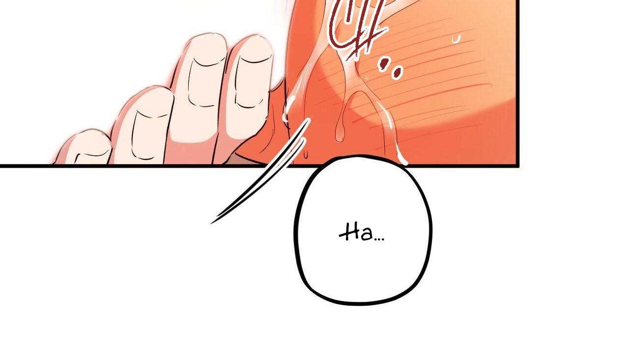 đàn thỏ của habibi chapter 54 157