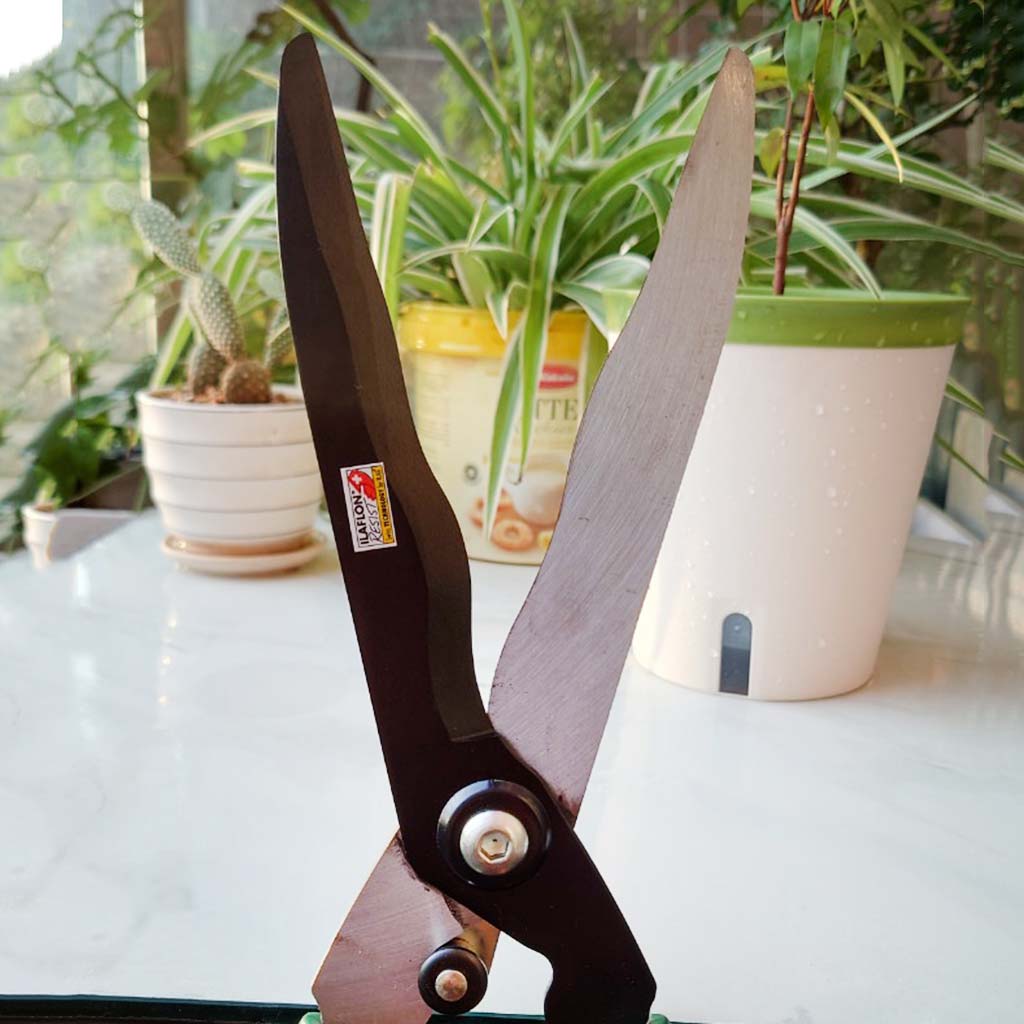 Kéo cắt hàng rào có tăng 78cm xuất Đức