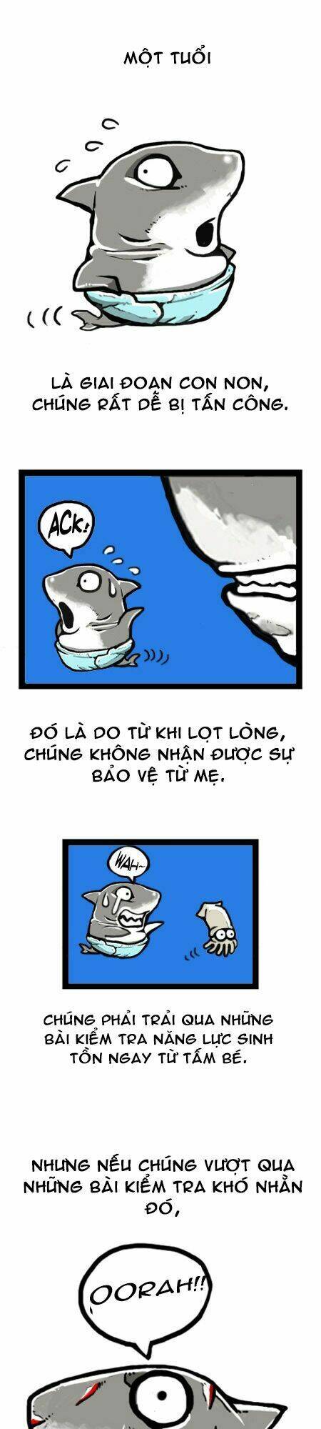 earth, human, and animal chapter 8 6