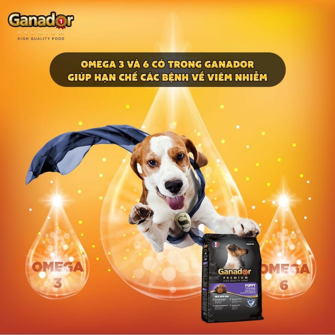 Thức ăn cho chó con Ganador vị sữa & DHA Milk & DHA 20kg