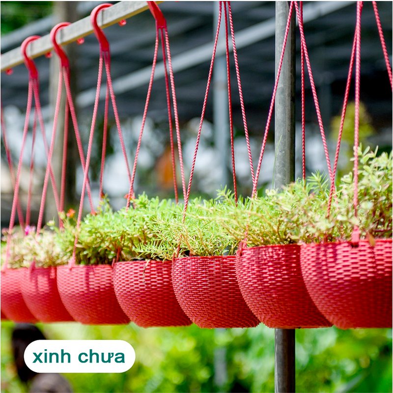 10 CHẬU nhựa treo đan mây,mẫu sang trọng,cứng dày đường kính 22x15cm-77521