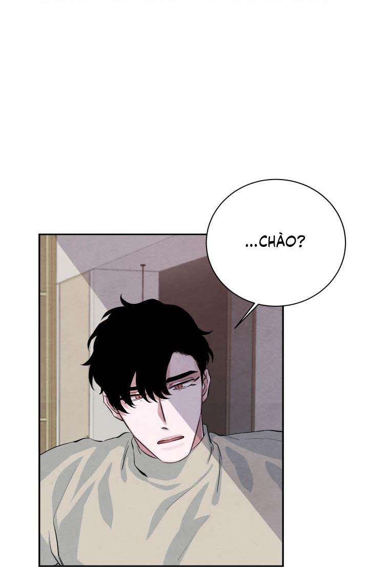 âm thanh của san hô chapter 17 9