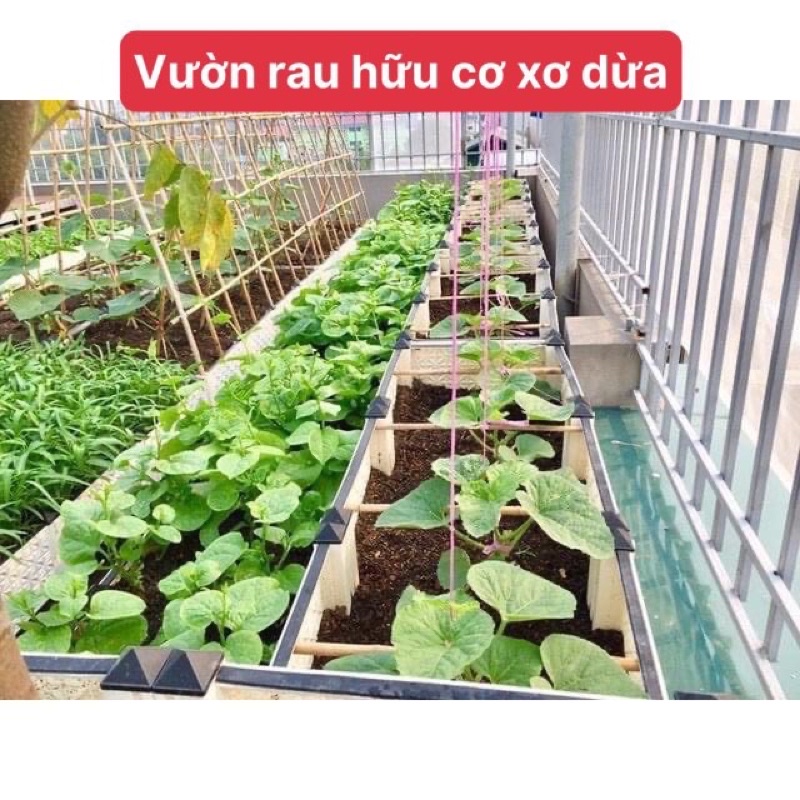 Đất nén hữu cơ dạng viên xơ dừa dinh dưỡng diệt trùng diệt khuẩn kháng bệnh tốt cho cây trồng - rau củ - cây cảnh