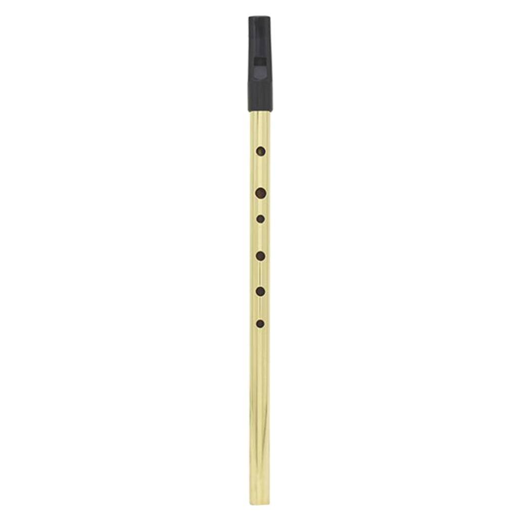 Irish Whistle Tin Whistle Flaut 6Hole Pennywhistle Ireland Instrument Purple