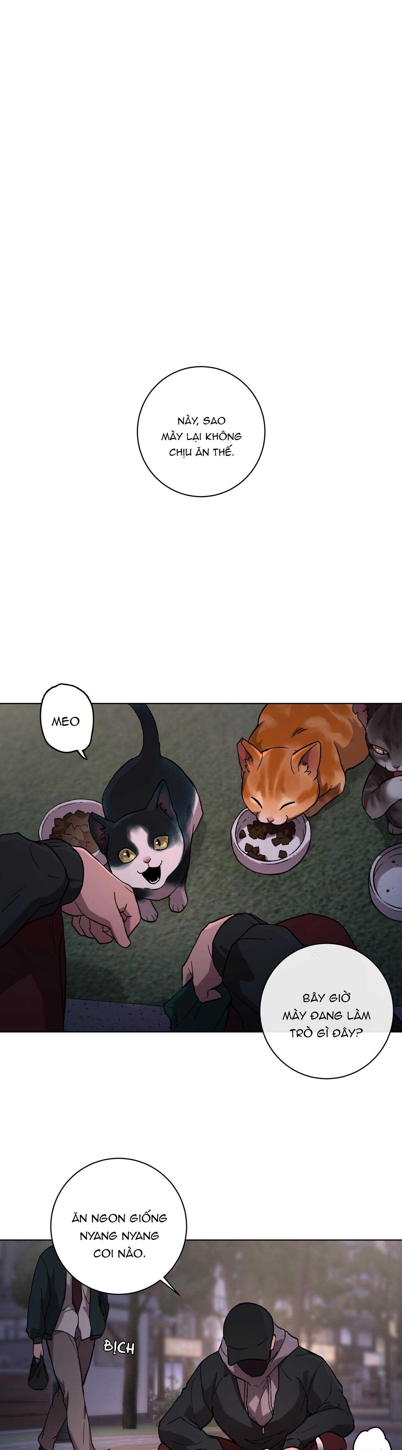 giải phóng bản thân chapter 1 1