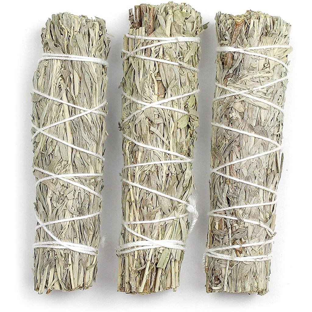- Blue Sage/ Xô thơm xanh/ Thảo mộc xông nhà