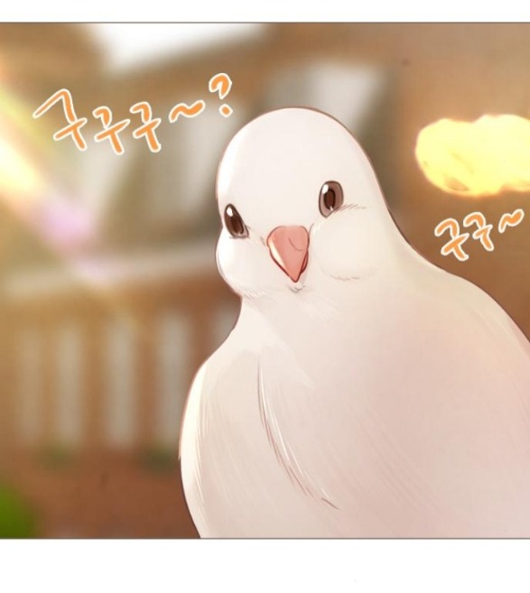 khóc đi hay là cầu xin tôi cũng được chapter 31.1 47