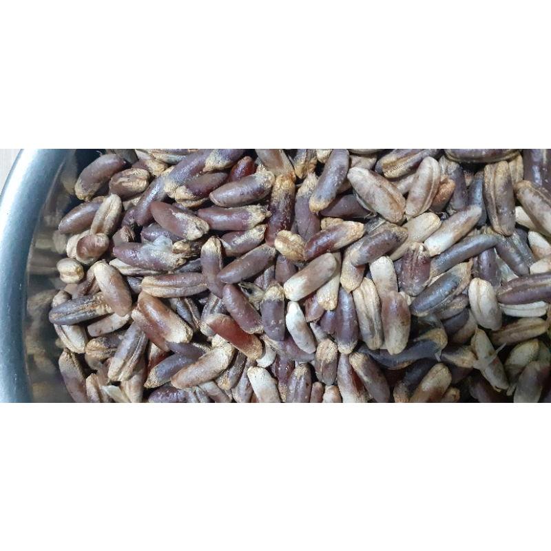 Hạt giống chà là trung đông