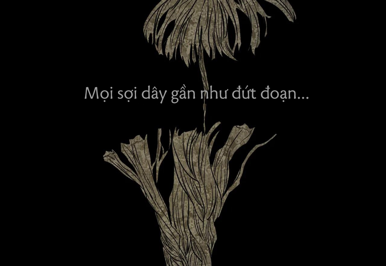 ám ảnh pheromone chapter 42 100