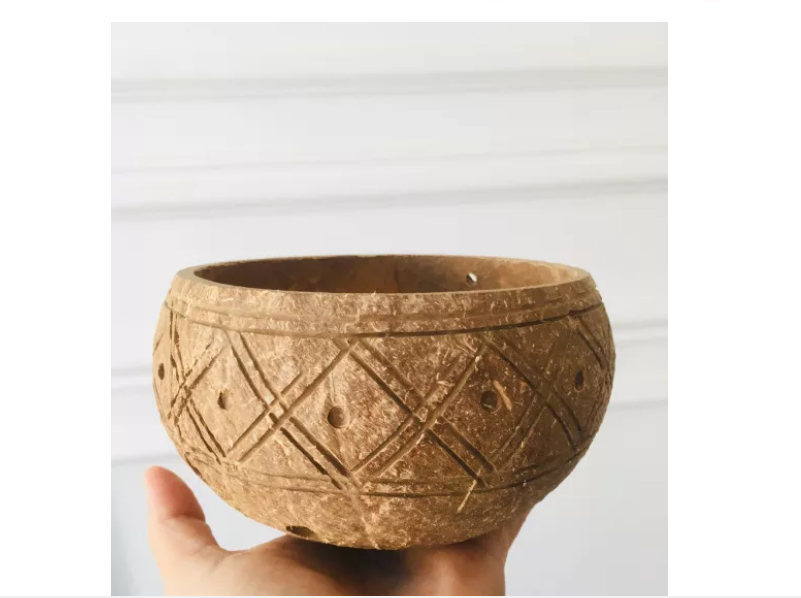 Gáo dừa trồng lan, tiểu cảnh hàng chuẩn , đẹp size lớn 13-15cm