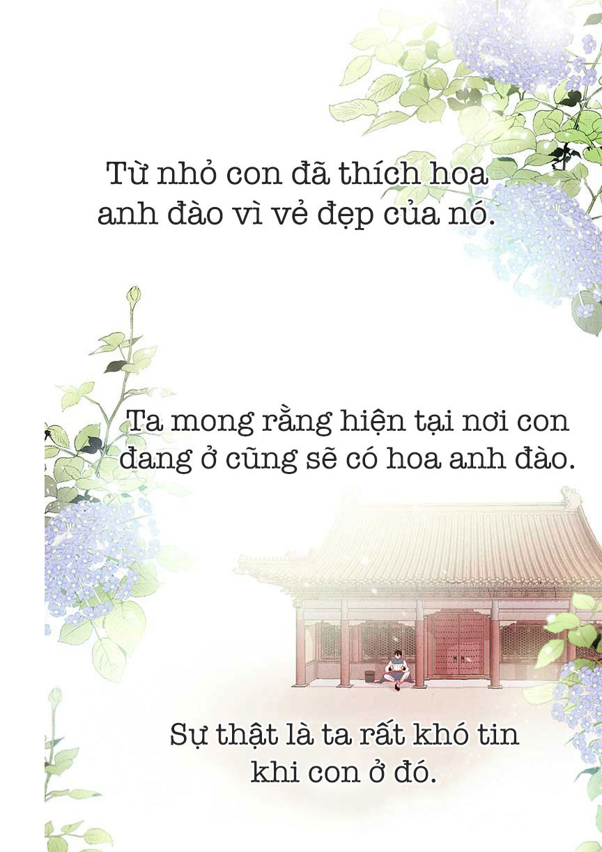 liệu rắn có ăn hoa chapter 1 47