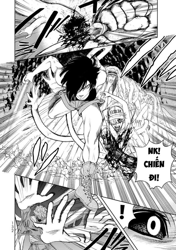 hataraku saibou! chapter 23 26