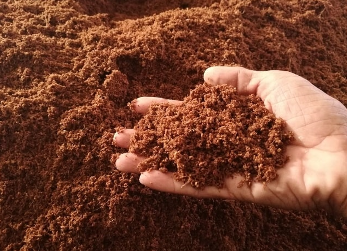 Mùn dừa ủ đã xử lý chuyên dùng cho trồng sen đá, xương rồng
