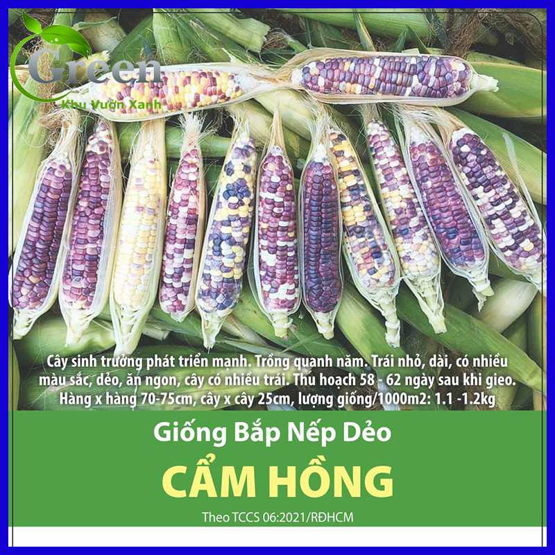 Hạt Giống Bắp Nếp Dẻo Cẩm Hồng Cao Cấp Nhiều Màu Dẻo Ngon