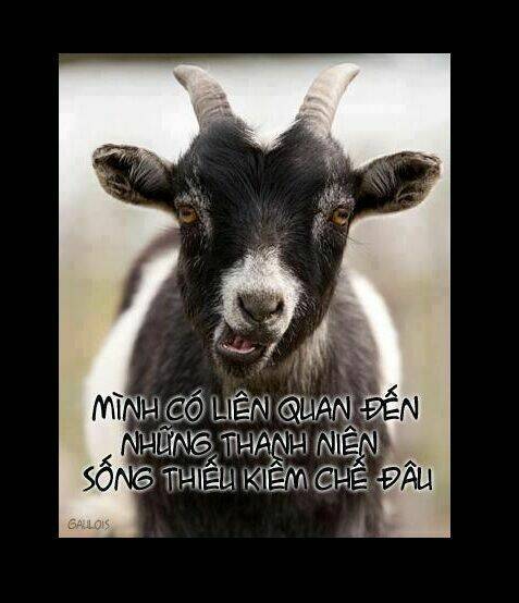 just troll chapter 42 7