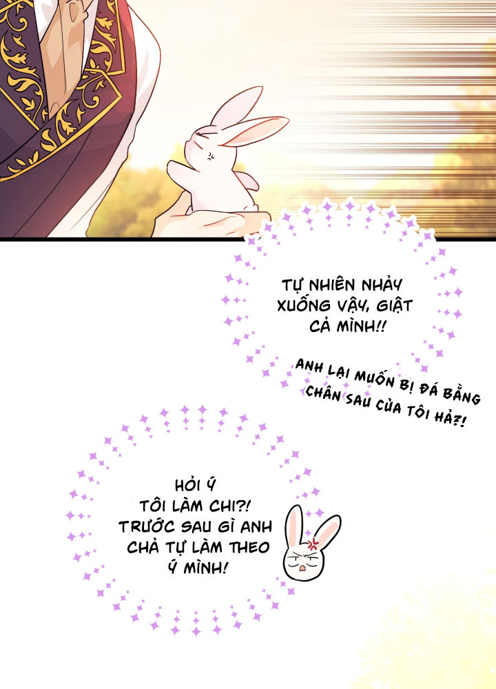 mối liên kết giữa báo đen và bé thỏ chapter 33 8