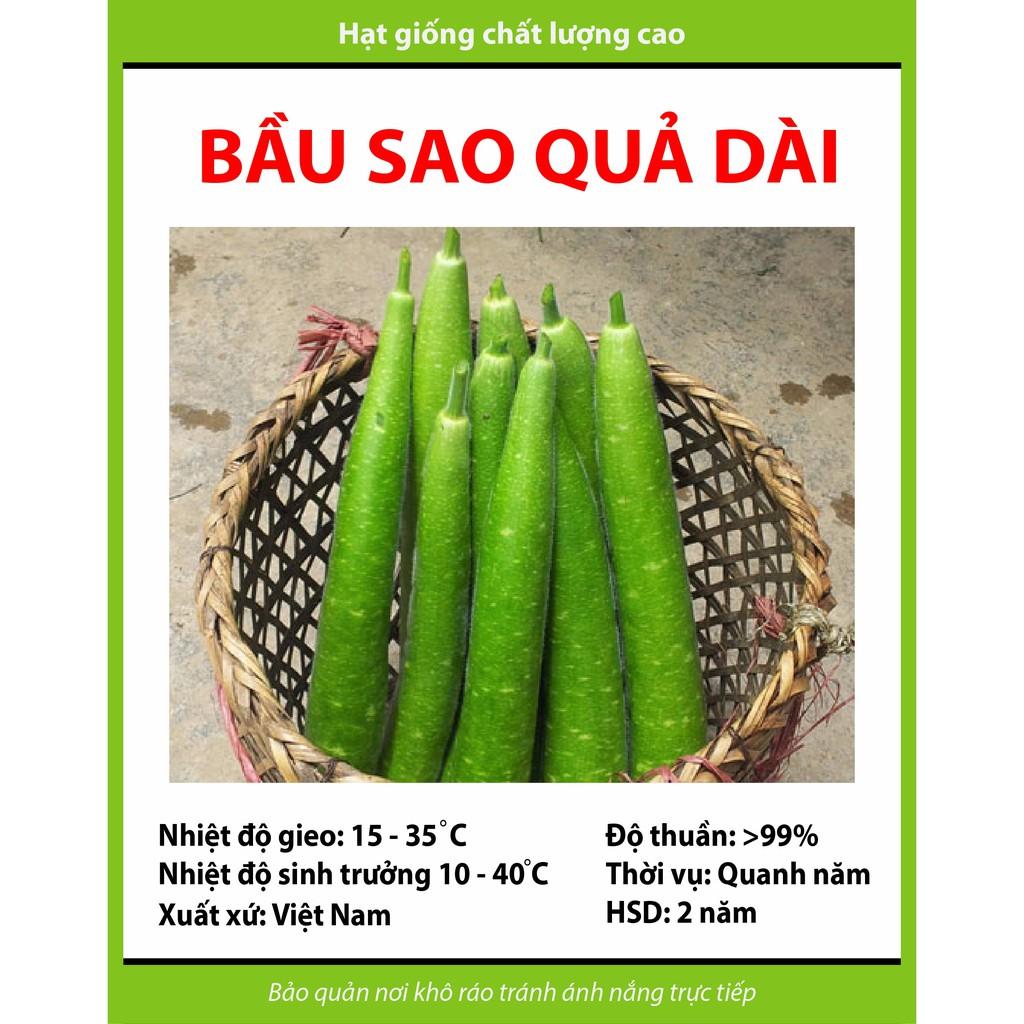 10 hạt- hạt giống bầu sao dài