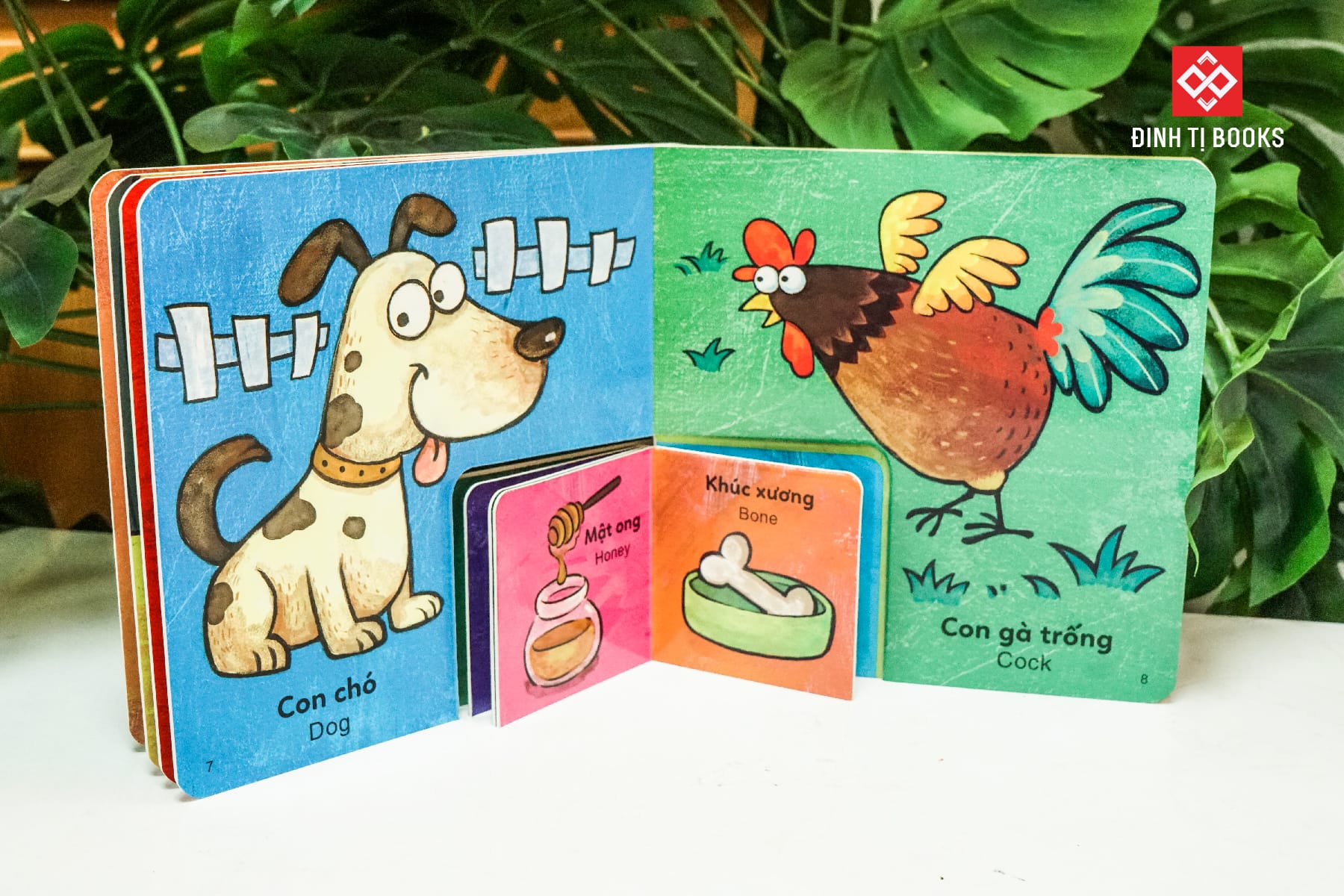 Sách - bộ sách to ôm sách nhỏ dành cho trẻ 3-6 tuổi - Đinh Tị Books