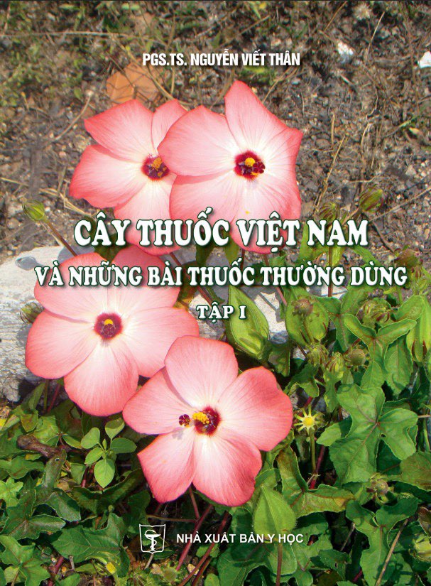 [Nhập 1212B15K giảm 15K đơn 199K] Sách - Cây thuốc Việt Nam và những bài thuốc thường dùng (Sách in mầu, 100% ruột couche)