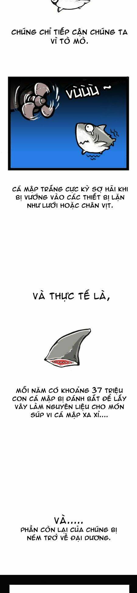 earth, human, and animal chapter 8 15