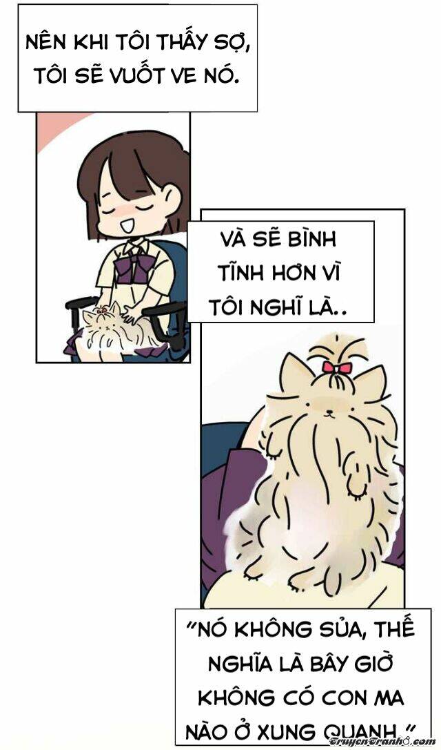 chiller chapter 37 21