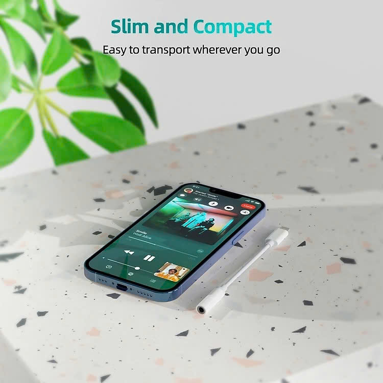 Cáp chuyển đổi từ cổng IP ra 3.5mm  (HÀNG CHÍNH HÃNG) CÁC LOẠI CÁP KHÁC
