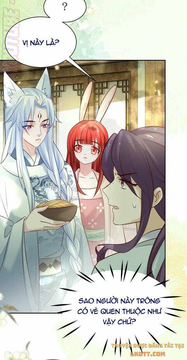 hắc hóa nam chính trực tuyến nuôi thỏ chapter 45 11