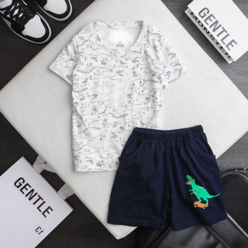Bộ cotton thun cho bé trai 2-8t