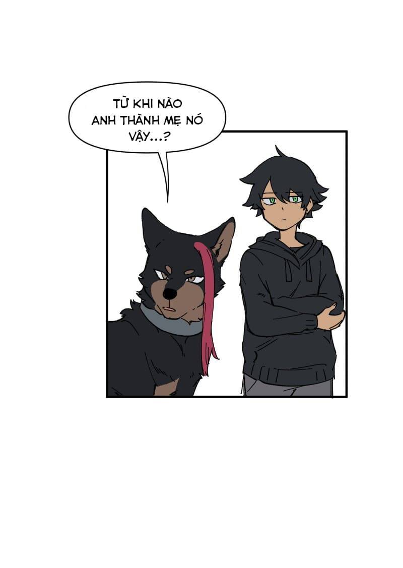 lumine - cội nguồn ánh sáng chapter 153 13