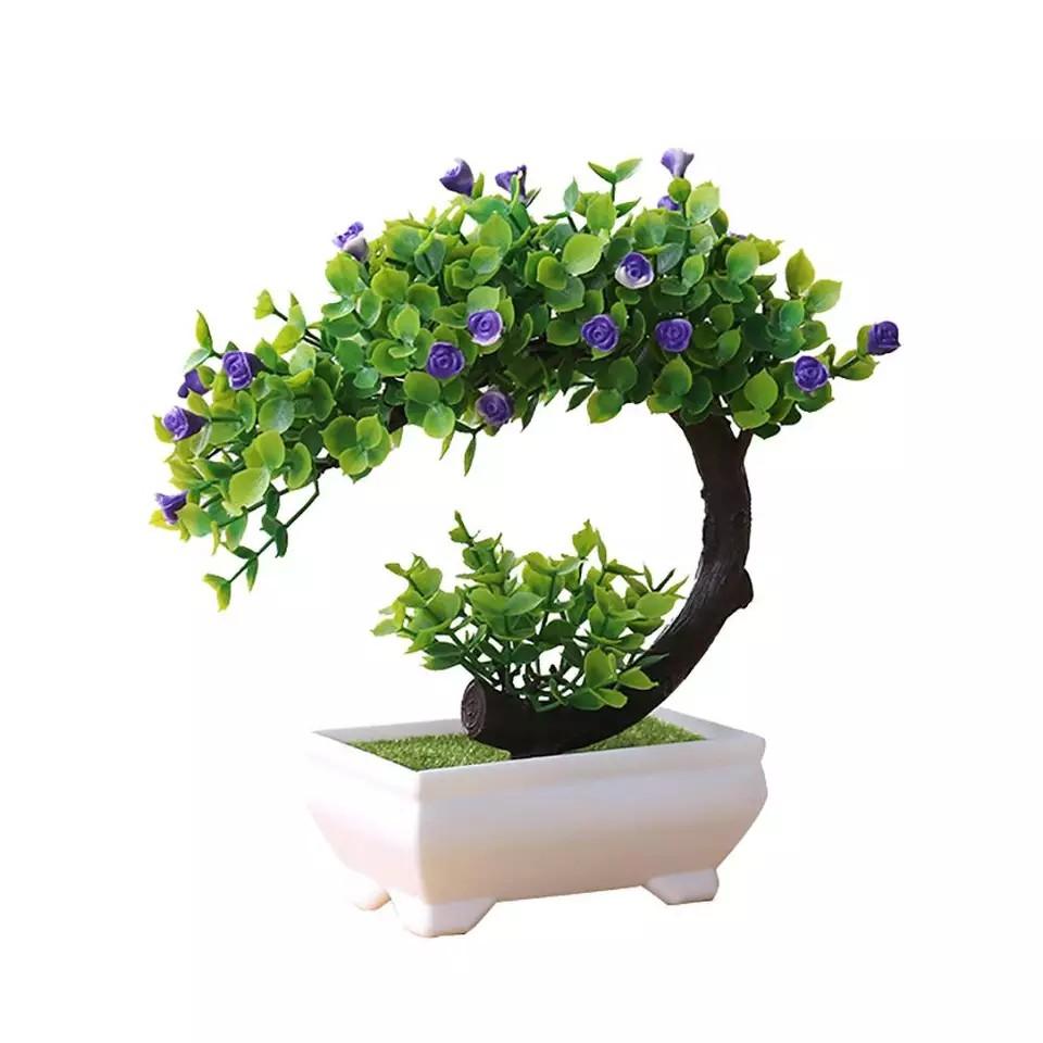 Chậu cây bonsai phú quý tài lộc trang trí nhà cửa kích thước 20cmx19cm
