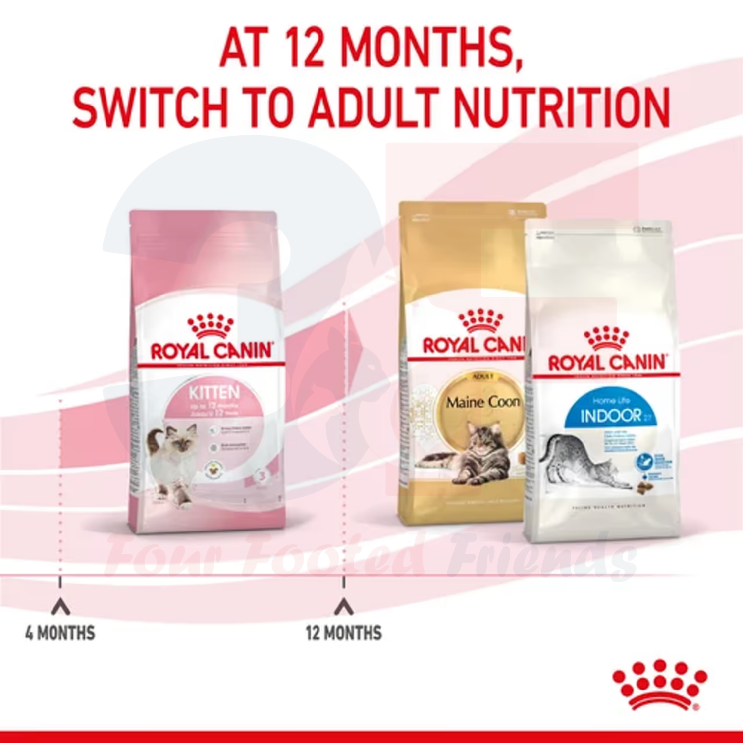 Thức Ăn Cho Mèo Con Từ 4-12 Tháng Tuổi Royal Canin Kitten 36