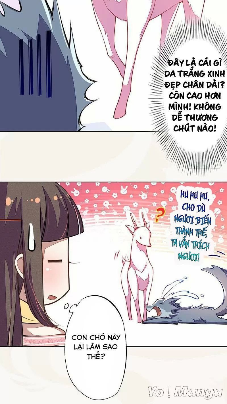 tuyệt thế luyện đan sư chapter 102 30