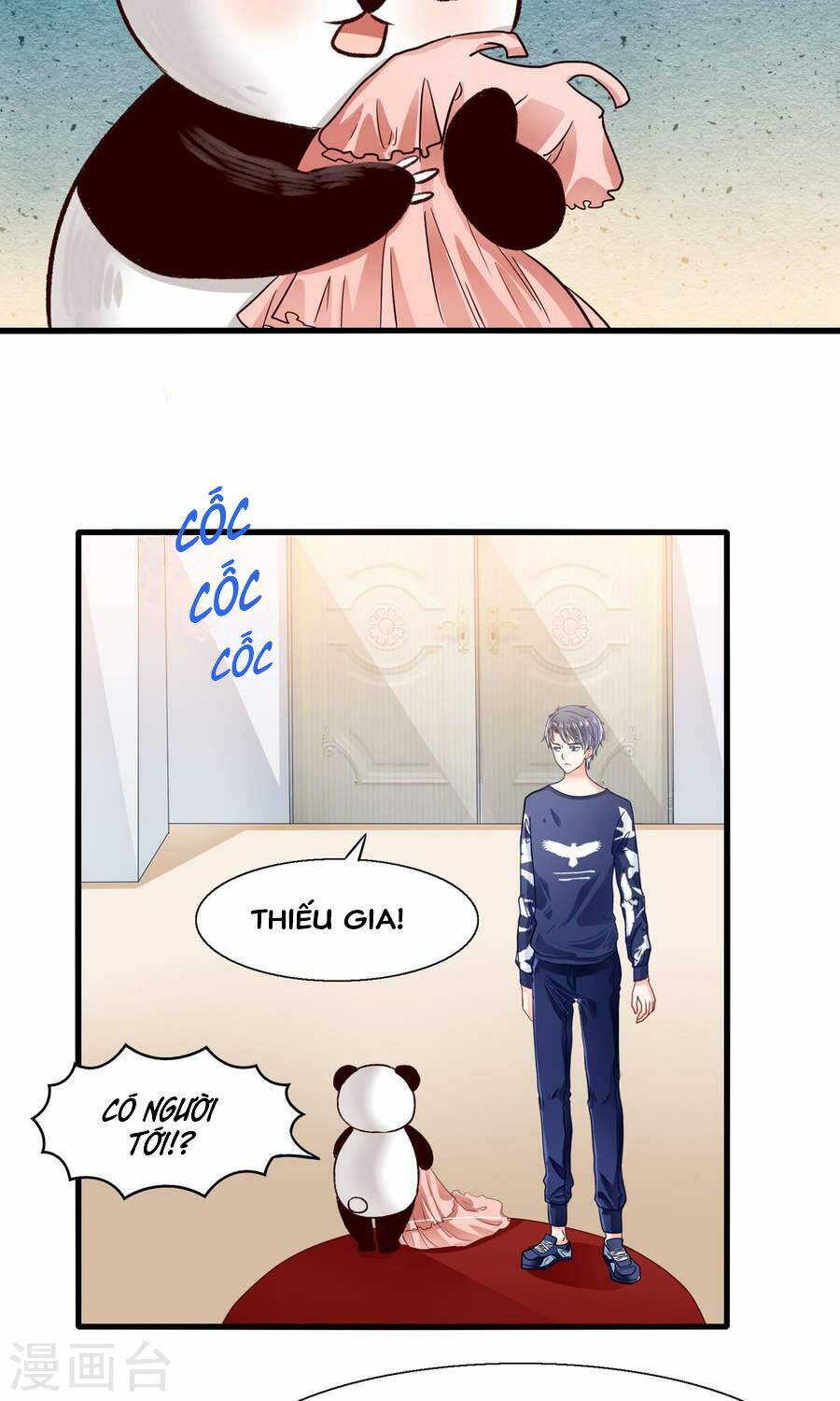 tôi bị gấu trúc nhìn trúng rồi chapter 10 5