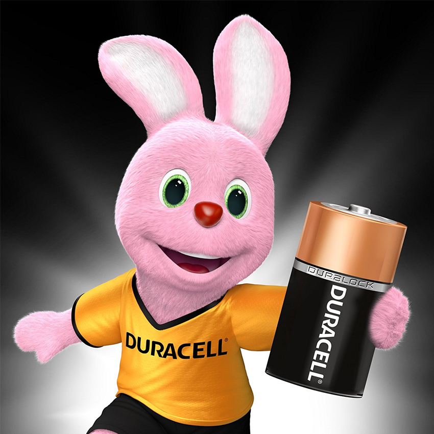 Pin Duracell Alkaline C Battery ( Bộ 2 Viên - Pin C ) - Hàng chính hãng