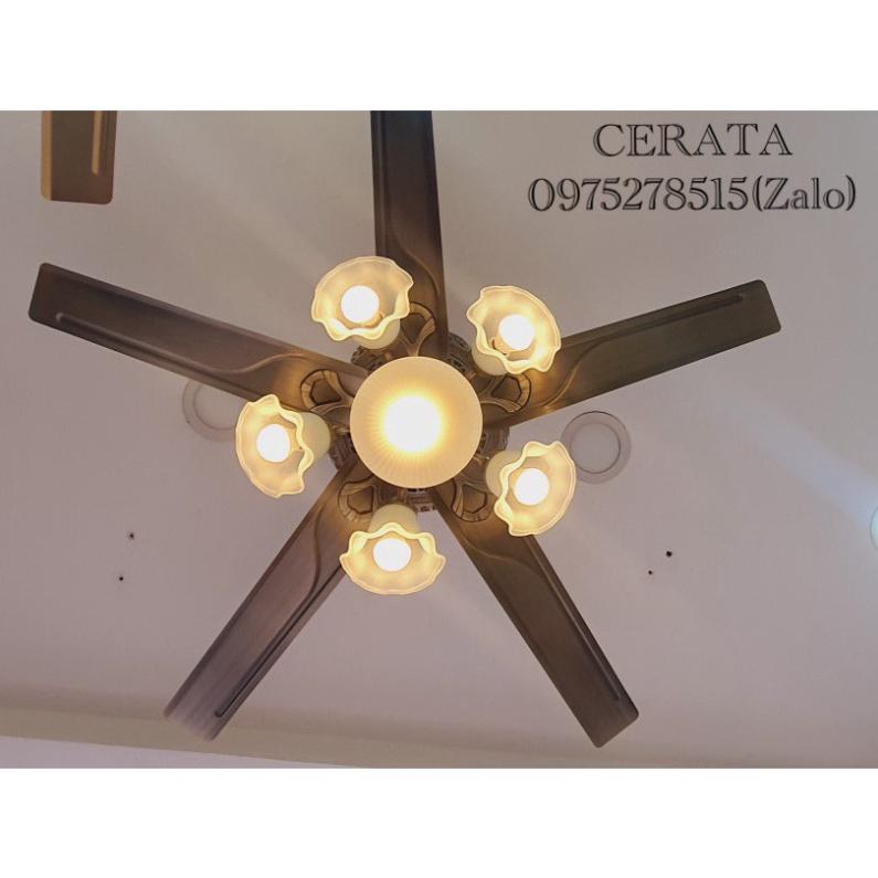 Quạt Trần Có Đèn MG-37 Promax Lõi Đồng Full 6 mức độ Gió, Lắp Cho Mọi ngôi nhà