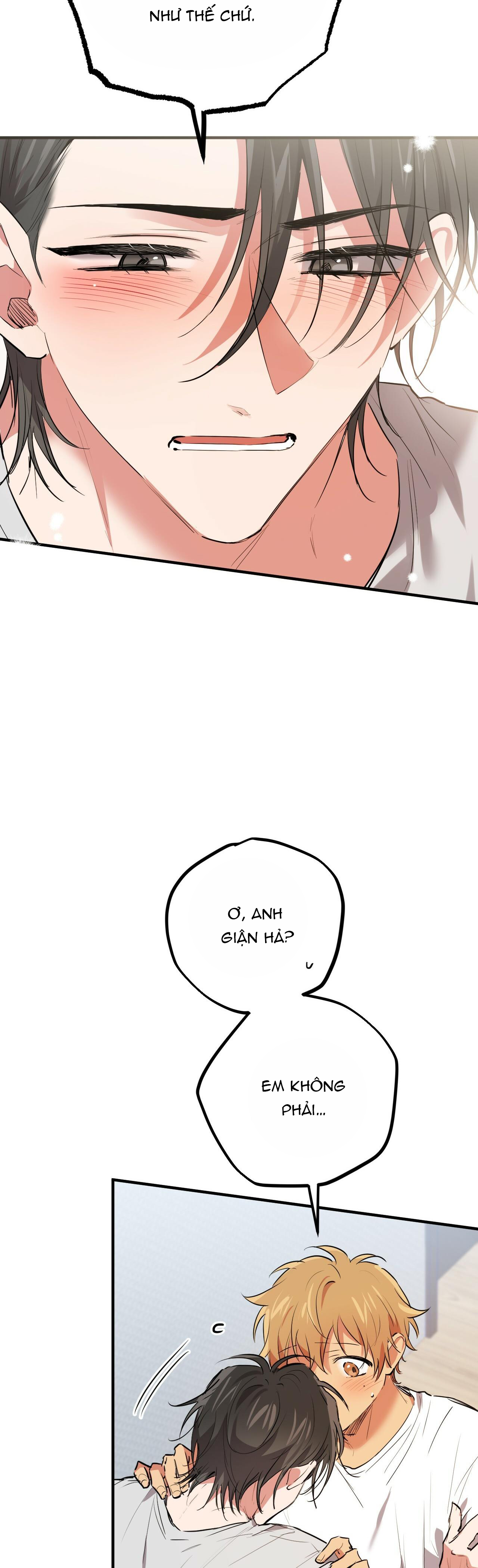 những chú thỏ của hapypy chapter 39 50