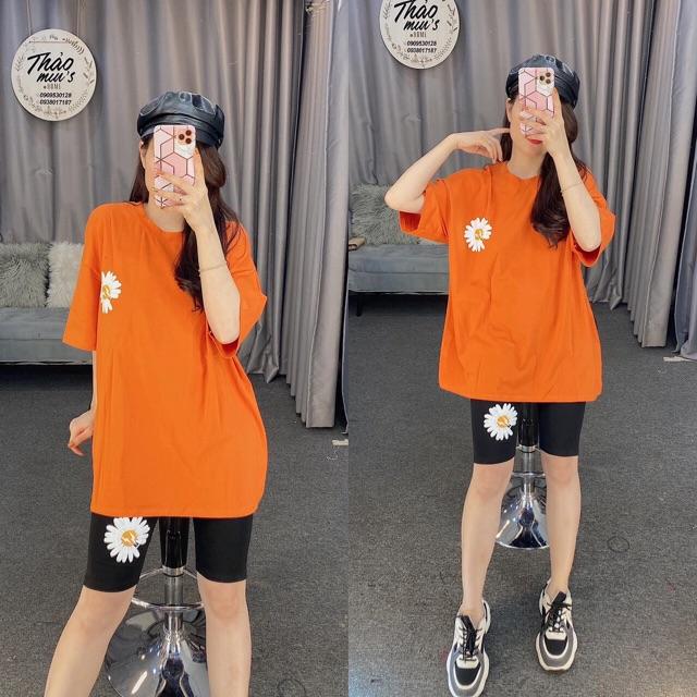 Bộ lửng hoa cúc siêu êu