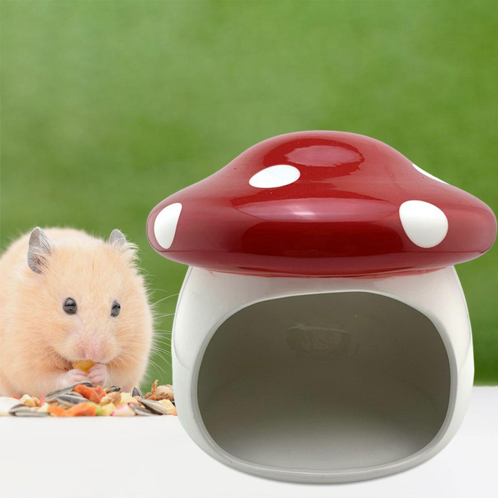 Hamster Houses Hideouts Chinchillas Mushroom Ceramic Hamster Habitat Hideout
