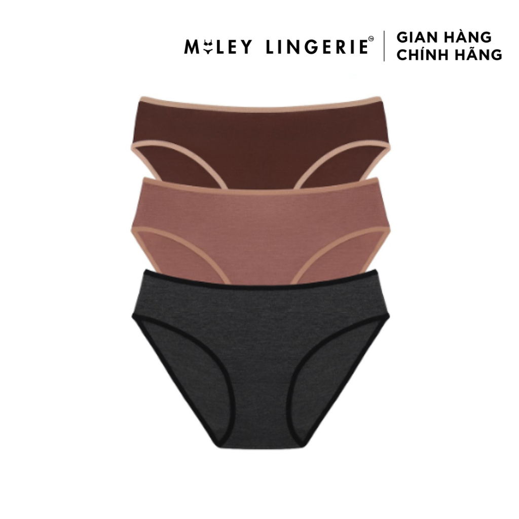 Combo 3 Quần Lót Nữ Flexi Co Dãn 4 Chiều Miley Lingerie New - BCS40