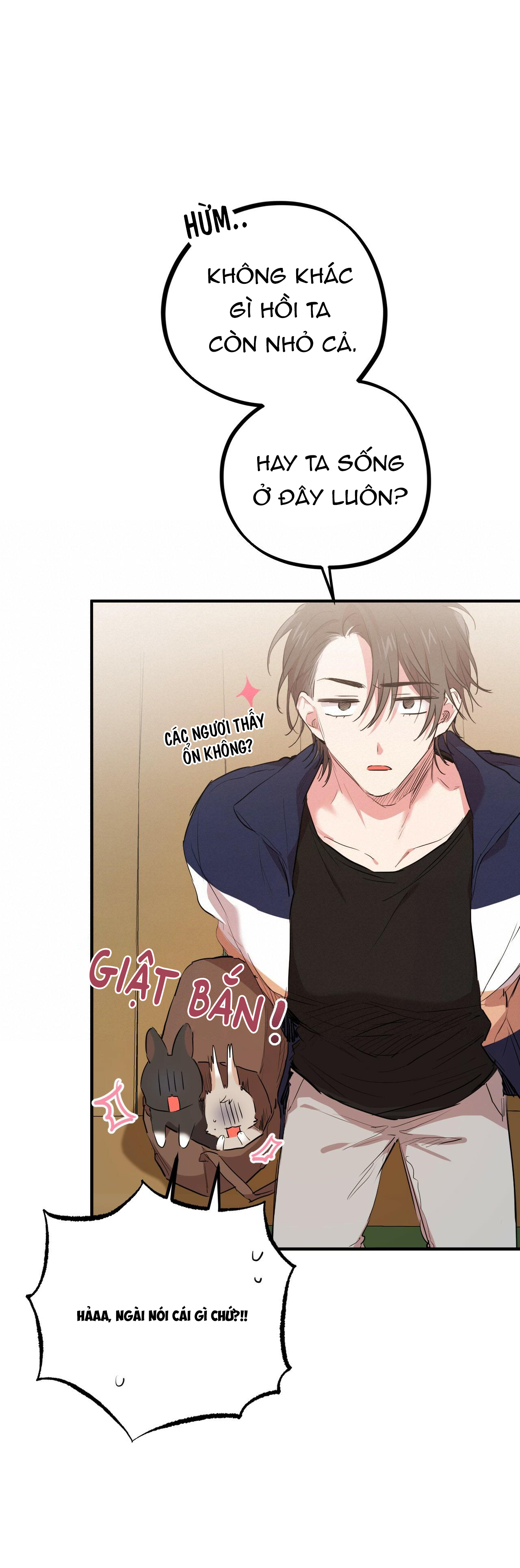 những chú thỏ của hapypy chapter 19 73