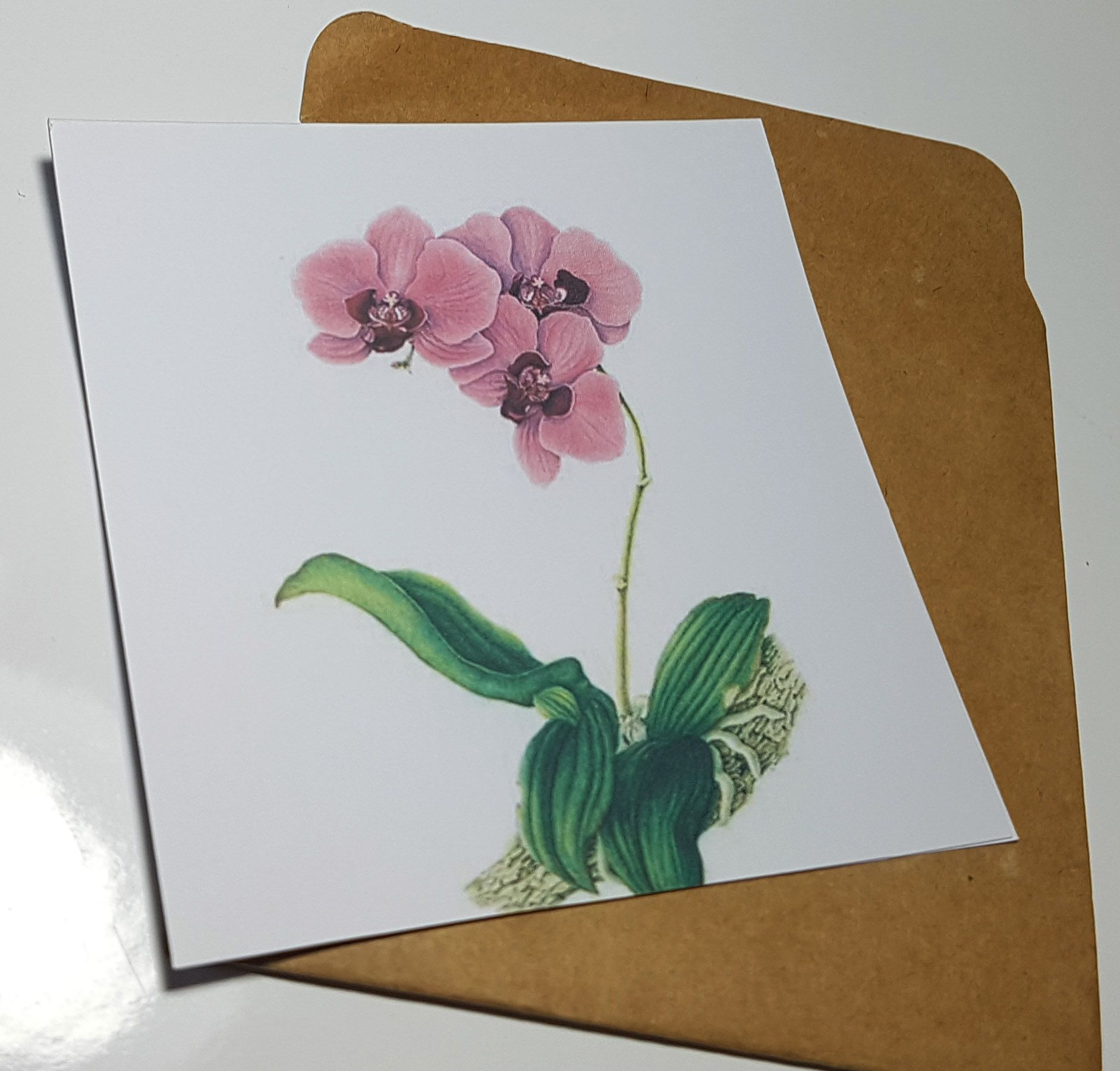 Thiệp phong cách Vintage card quà cám ơn ,chúc mừng sinh nhật và giử tặng người thân yêu.