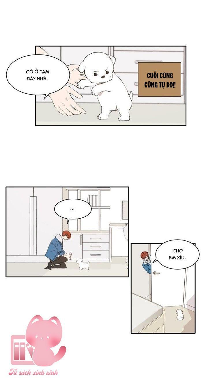 a good day to be a dog chapter 11 17