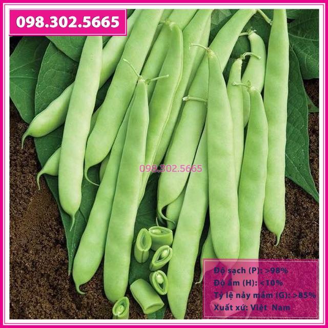 50gr hạt giống đậu cove leo cao sản