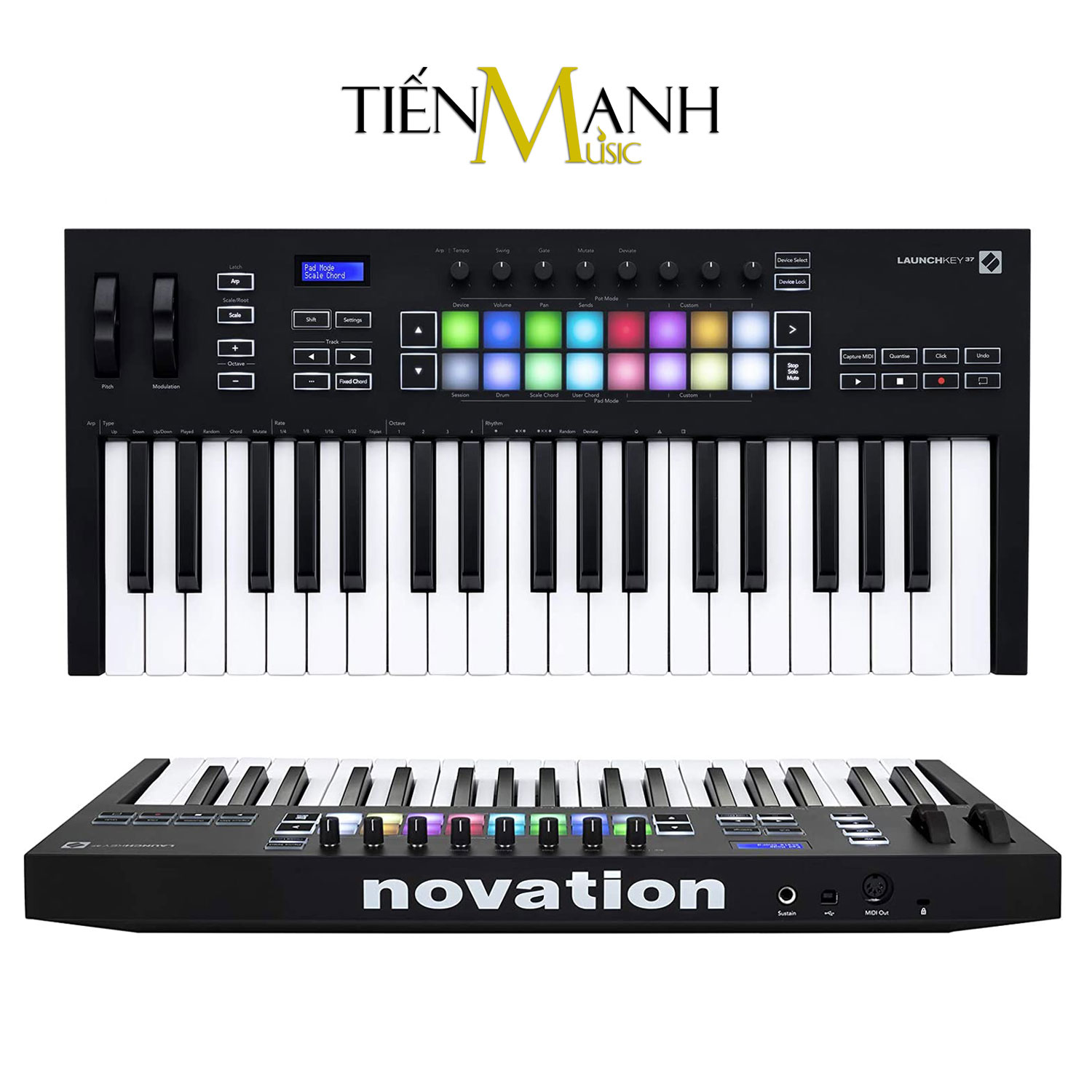 Novation Launchkey 37 MK3 Bàn phím sáng tác - Sản xuất âm nhạc Producer Keyboard Controller for Ableton Live - Kèm Móng Gẩy DreamMaker