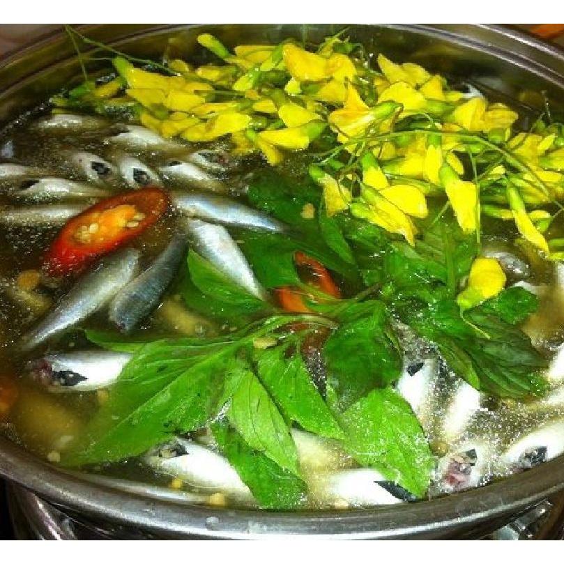 Hạt giống bông điên điển vàng- gói 10 hạt/tặng kèm gói phân bón lót