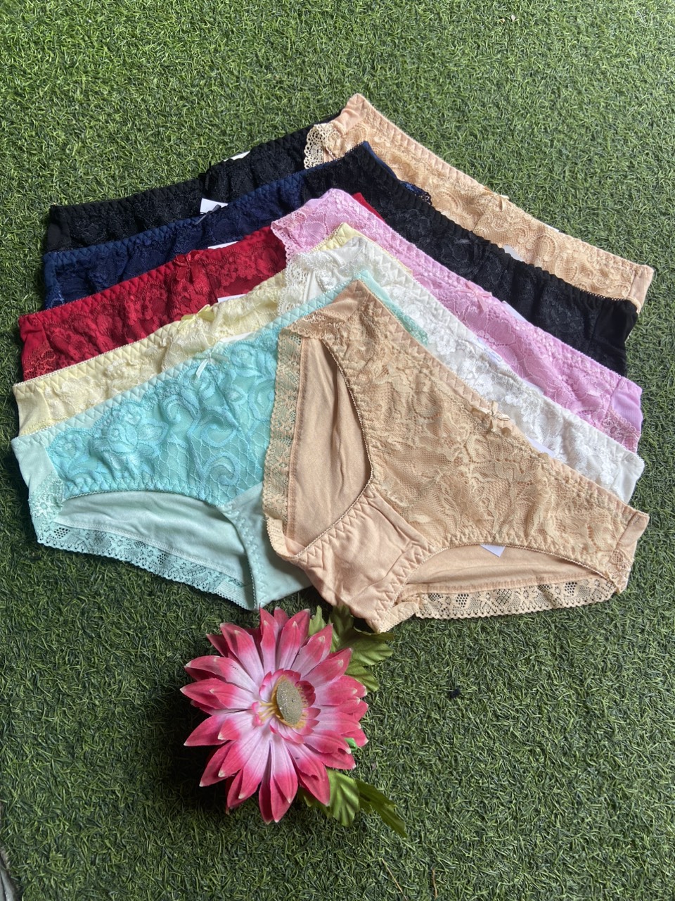 Combo 10 Quần Lót Nữ Cotton Ren Đùi Size M từ 45 - 48kg tùy chiều cao